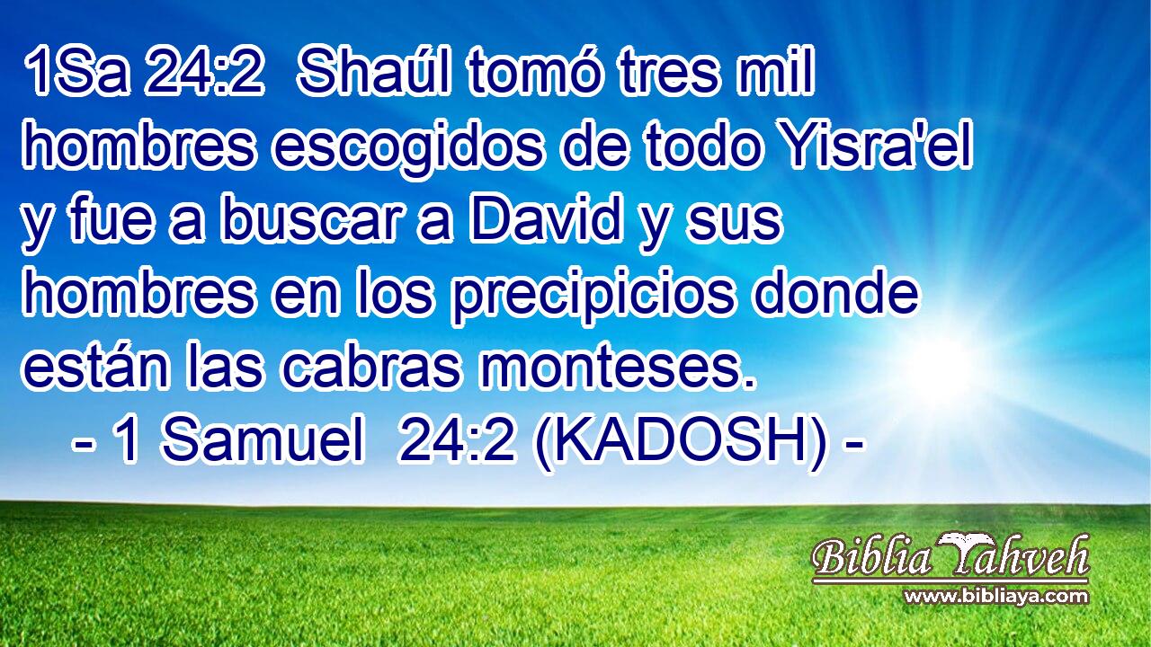  Shaúl tomó tres mil hombres escogidos de todo Yisra'el y fue a buscar a David y sus hombres en los precipicios donde están las cabras monteses. 