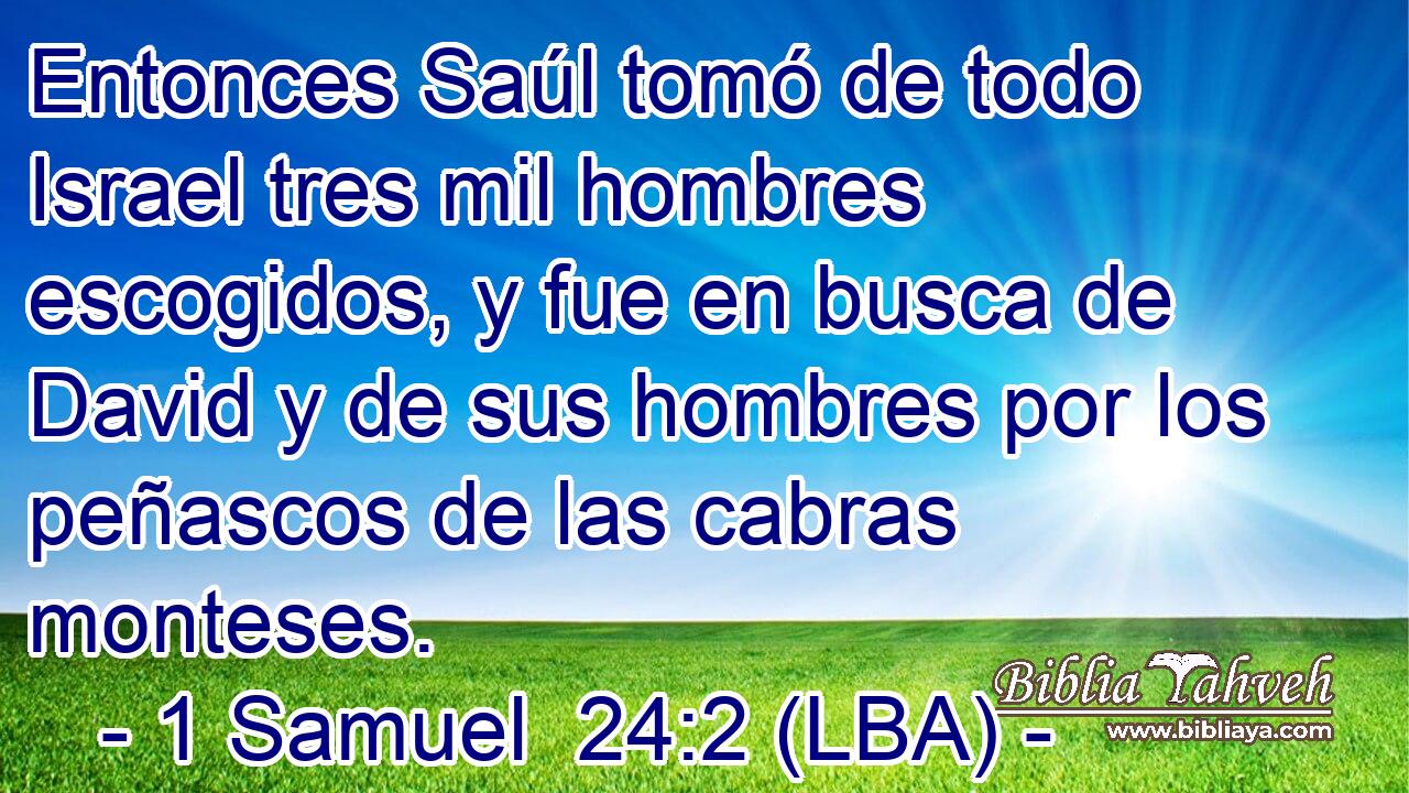 Entonces Saúl tomó de todo Israel tres mil hombres escogidos, y fue en busca de David y de sus hombres por los peñascos de las cabras monteses.