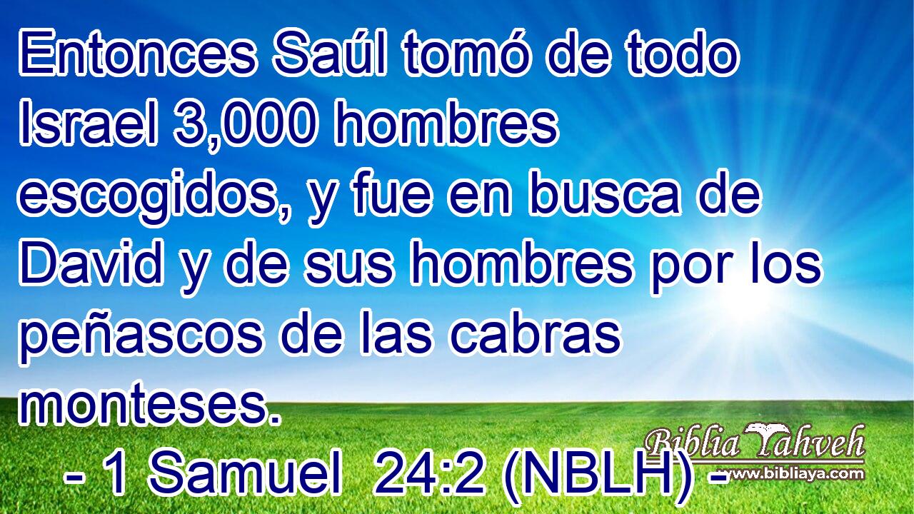 Entonces Saúl tomó de todo Israel 3,000 hombres escogidos, y fue en busca de David y de sus hombres por los peñascos de las cabras monteses. 