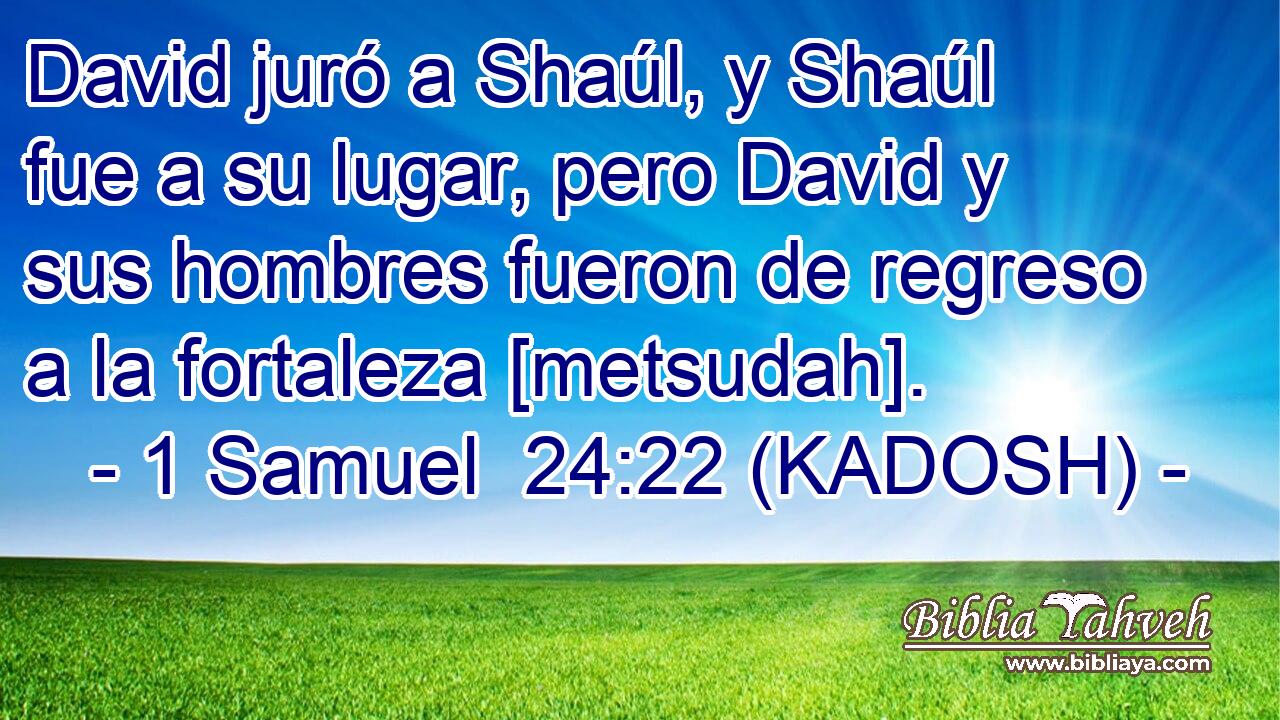  David juró a Shaúl, y Shaúl fue a su lugar, pero David y sus hombres fueron de regreso a la fortaleza [metsudah]. 