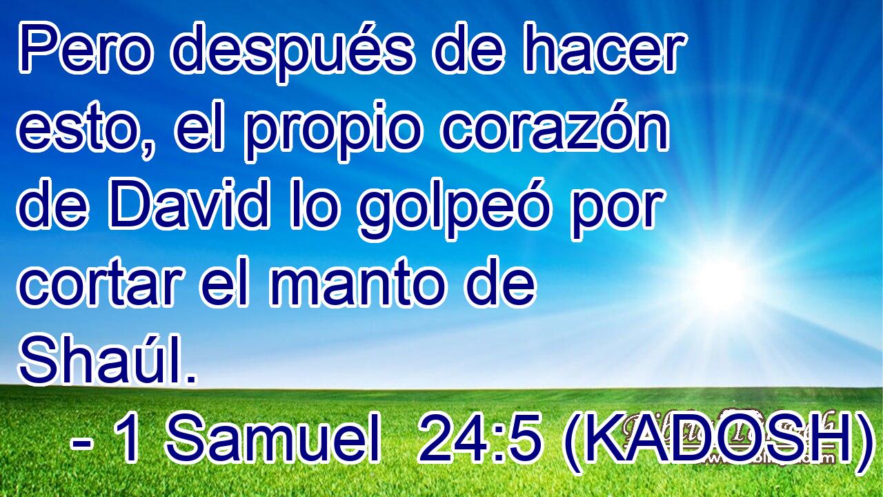  Pero después de hacer esto, el propio corazón de David lo golpeó por cortar el manto de Shaúl. 