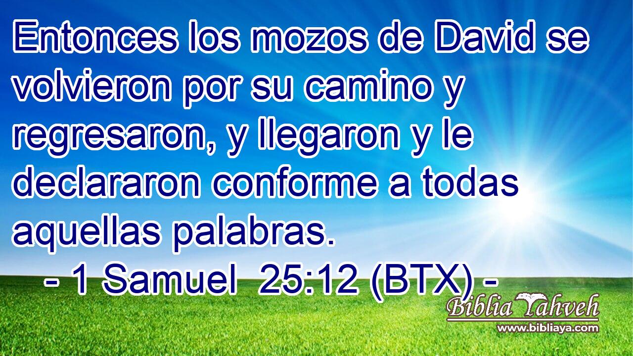 Entonces los mozos de David se volvieron por su camino y regresaron, y llegaron y le declararon conforme a todas aquellas palabras.