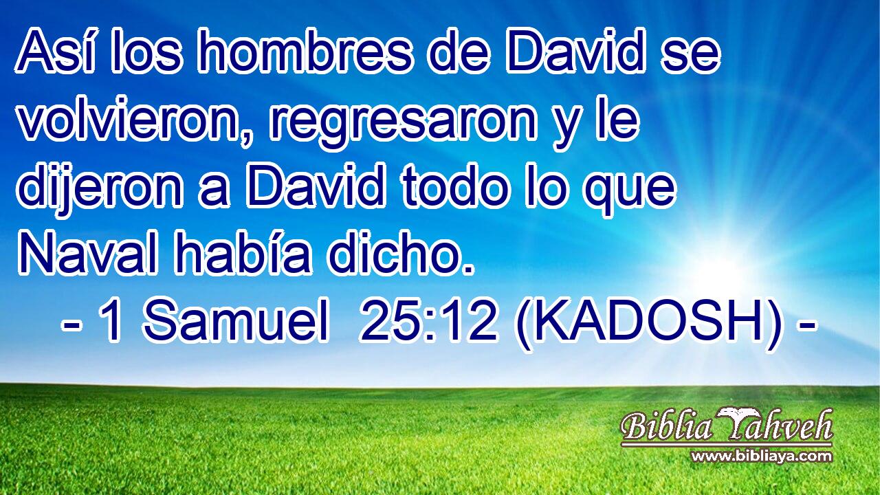  Así los hombres de David se volvieron, regresaron y le dijeron a David todo lo que Naval había dicho. 