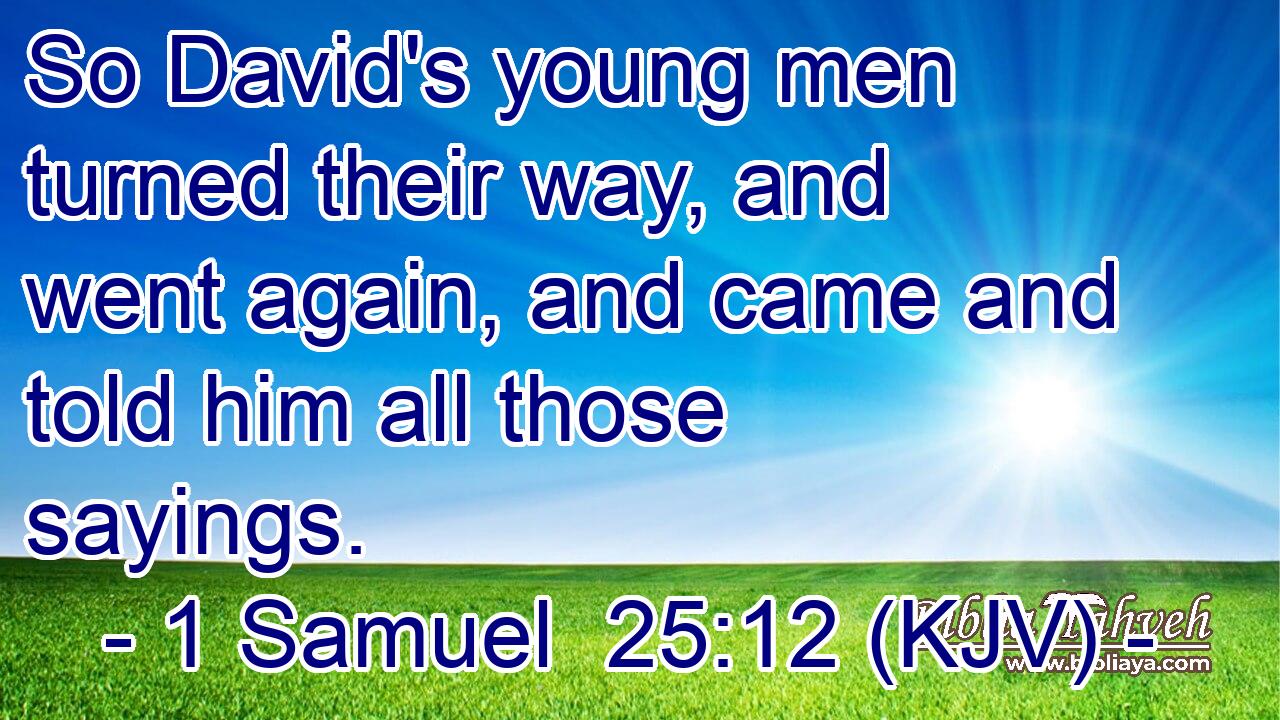 So David's young men turned their way, and went again, and came and told him all those sayings.
