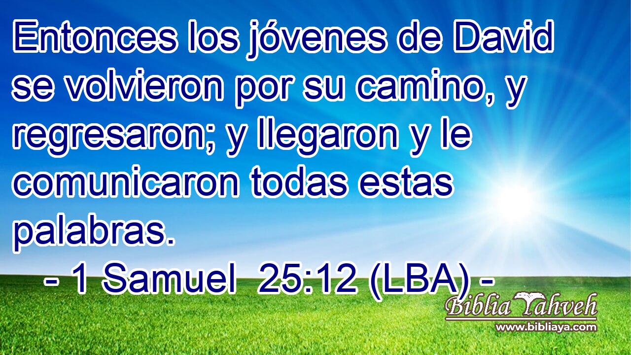 Entonces los jóvenes de David se volvieron por su camino, y regresaron; y llegaron y le comunicaron todas estas palabras.