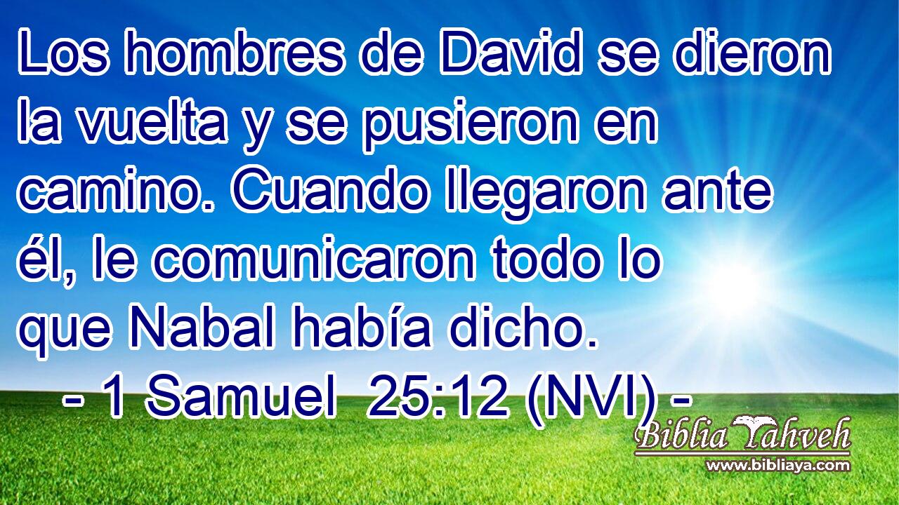  Los hombres de David se dieron la vuelta y se pusieron en camino. Cuando llegaron ante él, le comunicaron todo lo que Nabal había dicho. 