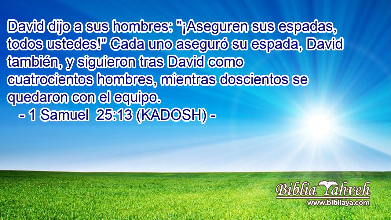  David dijo a sus hombres: 