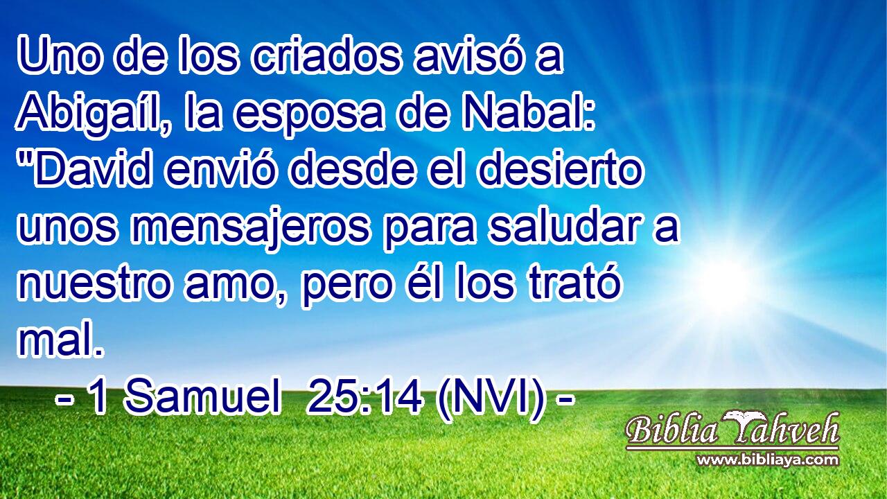  Uno de los criados avisó a Abigaíl, la esposa de Nabal: 