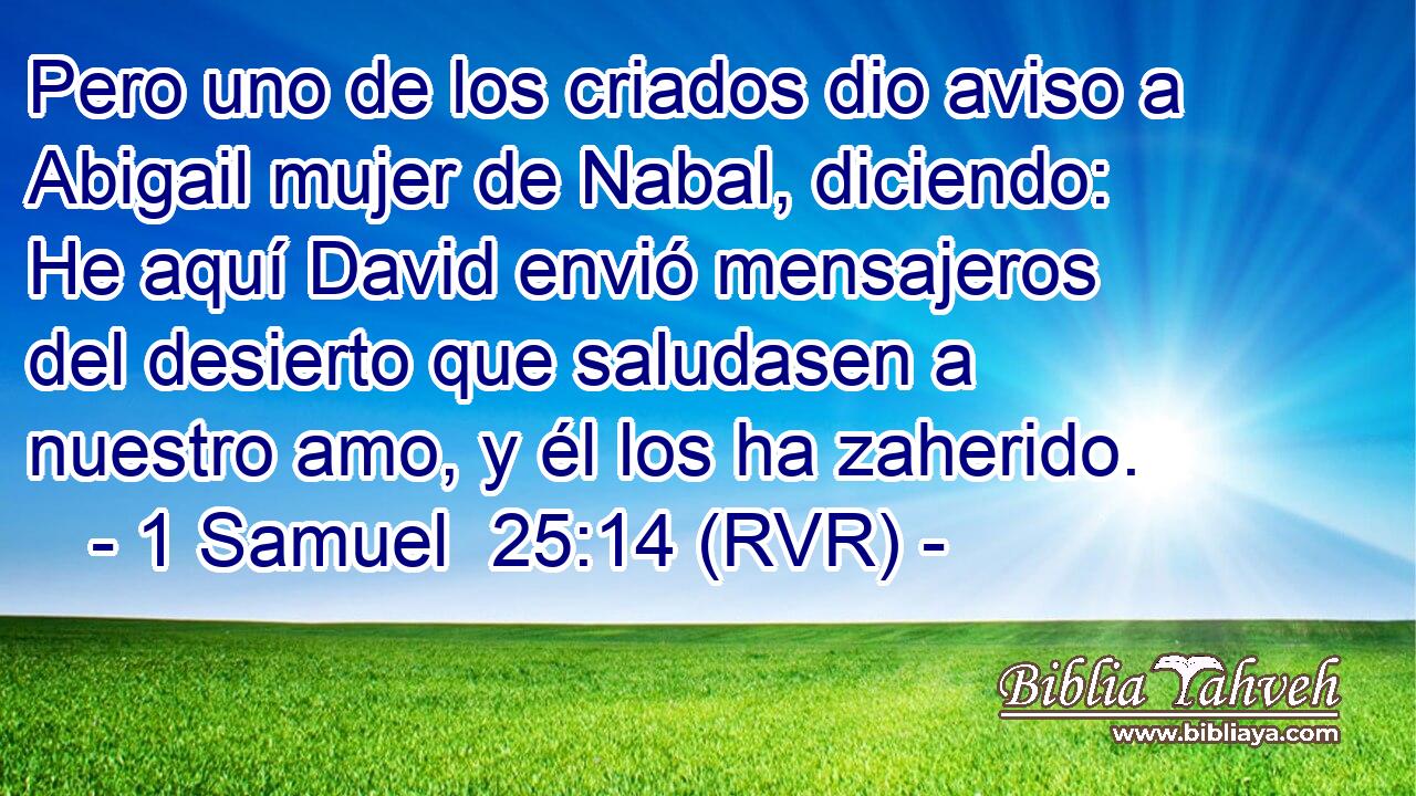 Pero uno de los criados dio aviso a Abigail mujer de Nabal, diciendo: He aquí David envió mensajeros del desierto que saludasen a nuestro amo, y él los ha zaherido.