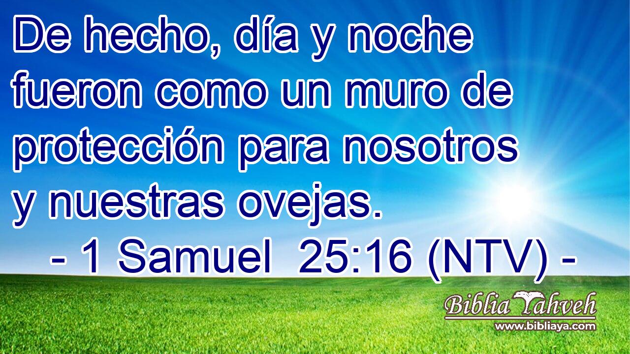 De hecho, día y noche fueron como un muro de protección para nosotros y nuestras ovejas.
