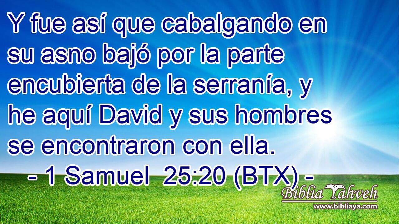 Y fue así que cabalgando en su asno bajó por la parte encubierta de la serranía, y he aquí David y sus hombres se encontraron con ella.