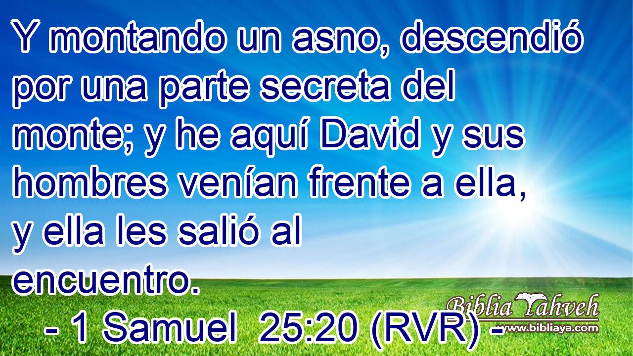 Y montando un asno, descendió por una parte secreta del monte; y he aquí David y sus hombres venían frente a ella, y ella les salió al encuentro.