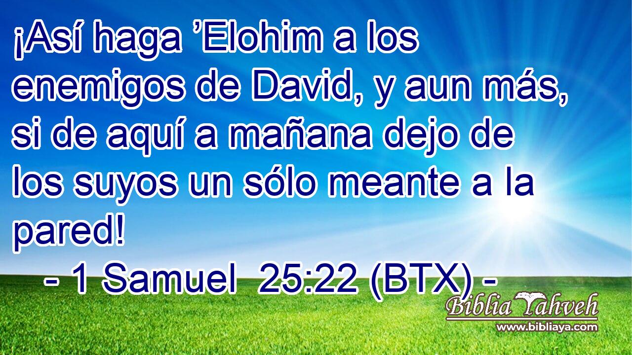 ¡Así haga ’Elohim a los enemigos de David, y aun más, si de aquí a mañana dejo de los suyos un sólo meante a la pared!