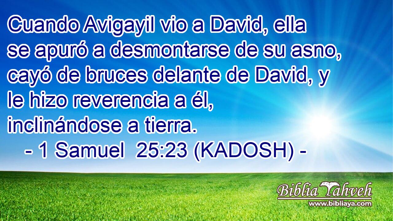  Cuando Avigayil vio a David, ella se apuró a desmontarse de su asno, cayó de bruces delante de David, y le hizo reverencia a él, inclinándose a tierra. 
