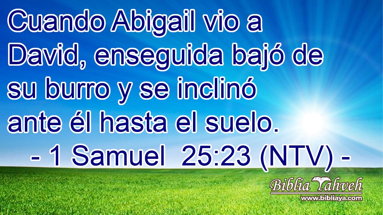 Cuando Abigail vio a David, enseguida bajó de su burro y se inclinó ante él hasta el suelo.