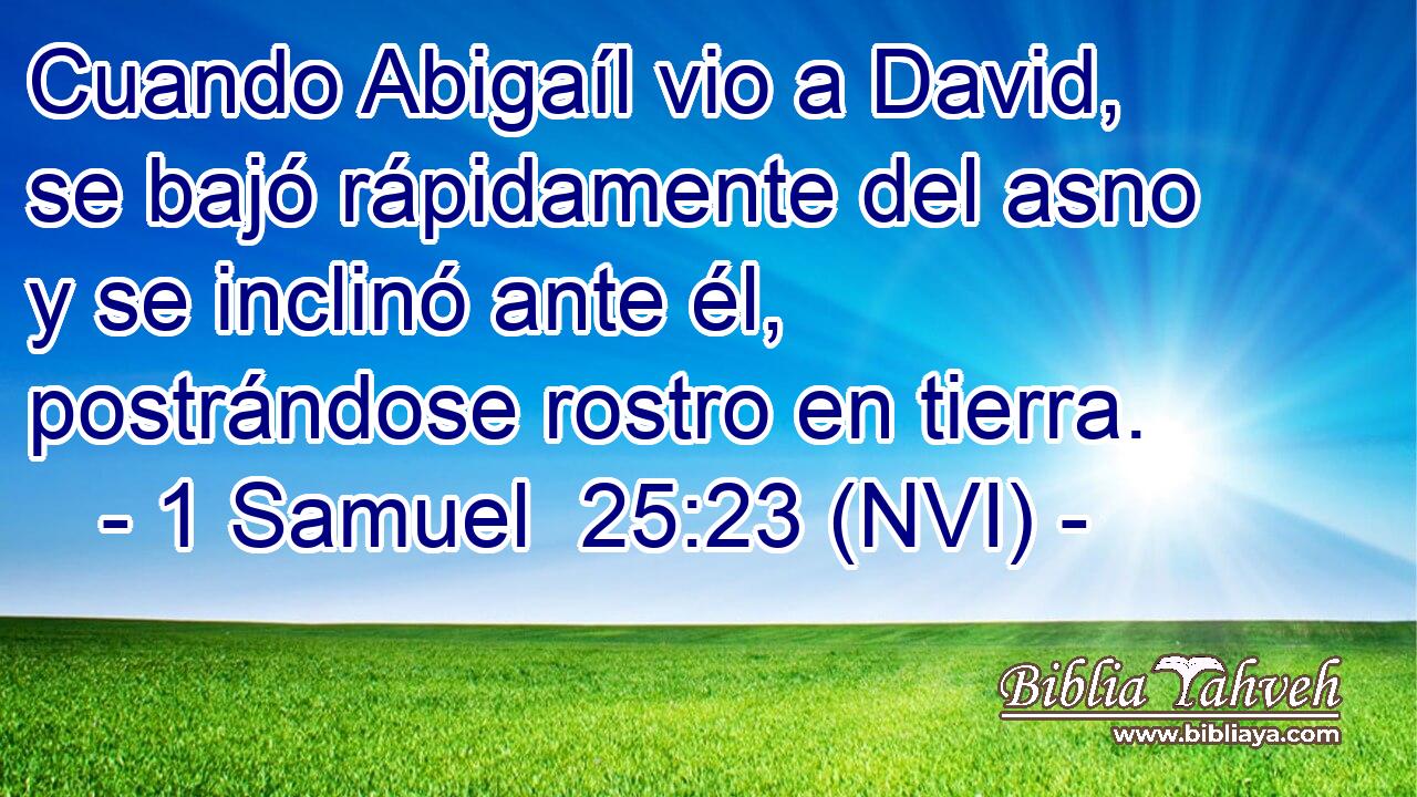  Cuando Abigaíl vio a David, se bajó rápidamente del asno y se inclinó ante él, postrándose rostro en tierra. 