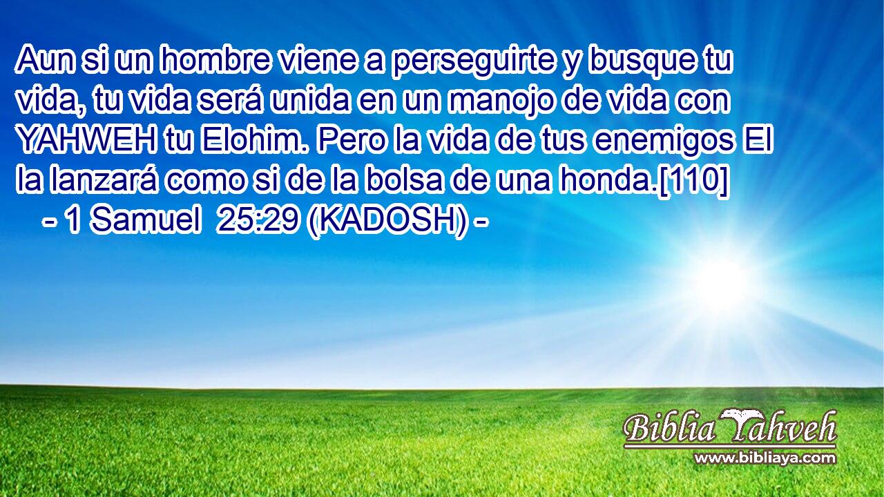  Aun si un hombre viene a perseguirte y busque tu vida, tu vida será unida en un manojo de vida con YAHWEH tu Elohim. Pero la vida de tus enemigos El la lanzará como si de la bolsa de una honda.[110] 