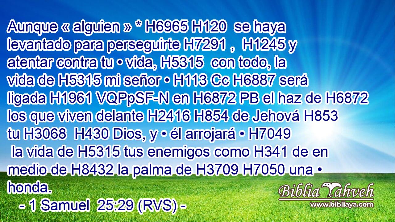 Aunque « alguien » * H6965 H120  se haya levantado para perseguirte H7291 ,  H1245 y atentar contra tu • vida, H5315  con todo, la vida de H5315 mi señor • H113 Cc H6887 será ligada H1961 VQPpSF-N en H6872 PB el haz de H6872 los que viven delante H2416 H854 de Jehová H853  tu H3068  H430 Dios, y • él arrojará • H7049  la vida de H5315 tus enemigos como H341 de en medio de H8432 la palma de H3709 H7050 una • honda. 