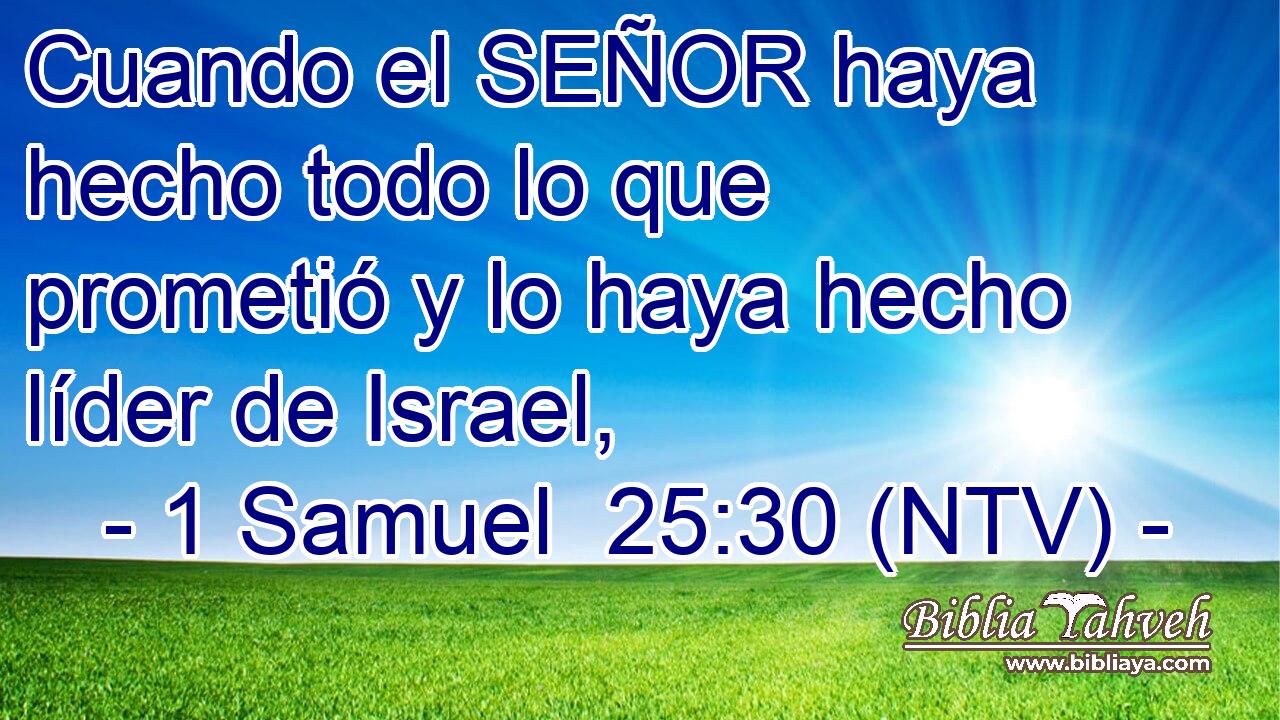 Cuando el SEÑOR haya hecho todo lo que prometió y lo haya hecho líder de Israel,