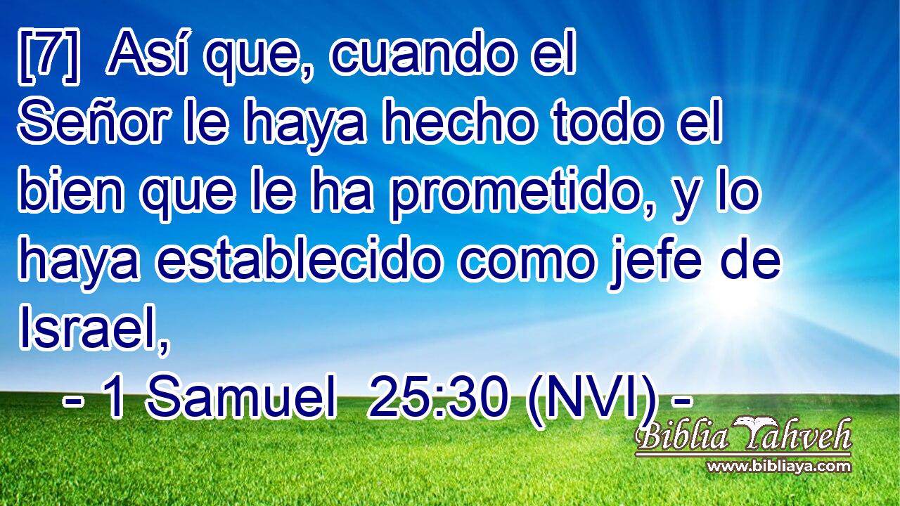  [7]  Así que, cuando el Señor le haya hecho todo el bien que le ha prometido, y lo haya establecido como jefe de Israel, 