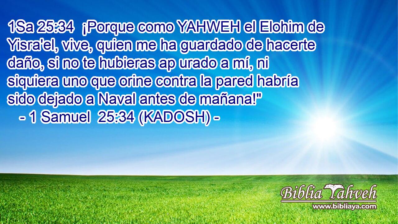  ¡Porque como YAHWEH el Elohim de Yisra'el, vive, quien me ha guardado de hacerte daño, si no te hubieras ap urado a mí, ni siquiera uno que orine contra la pared habría sido dejado a Naval antes de mañana!