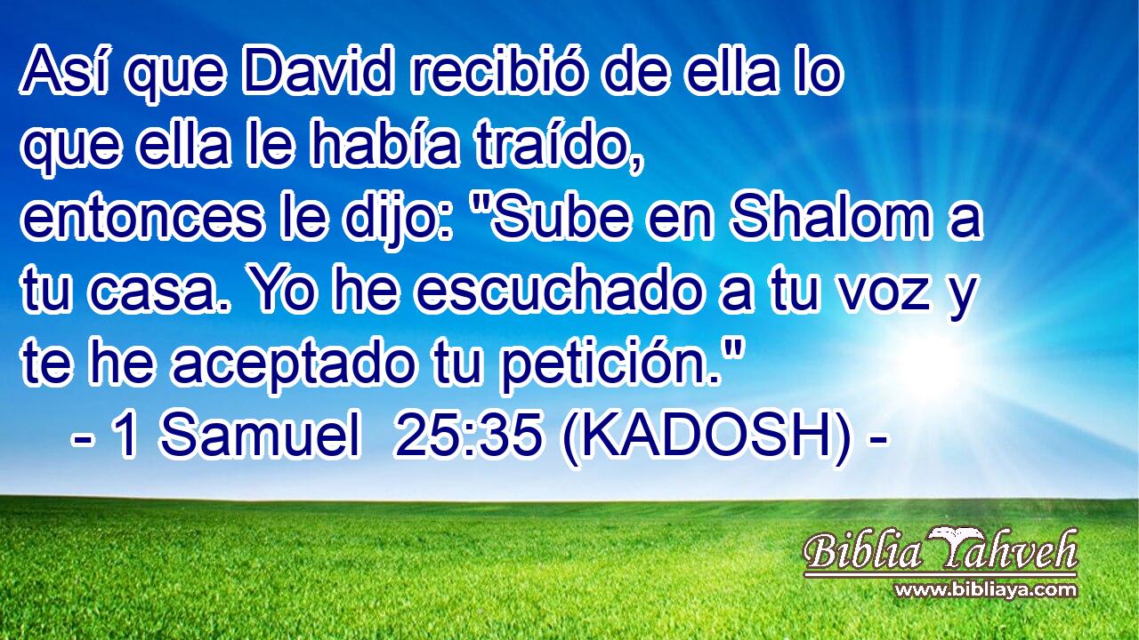  Así que David recibió de ella lo que ella le había traído, entonces le dijo: 