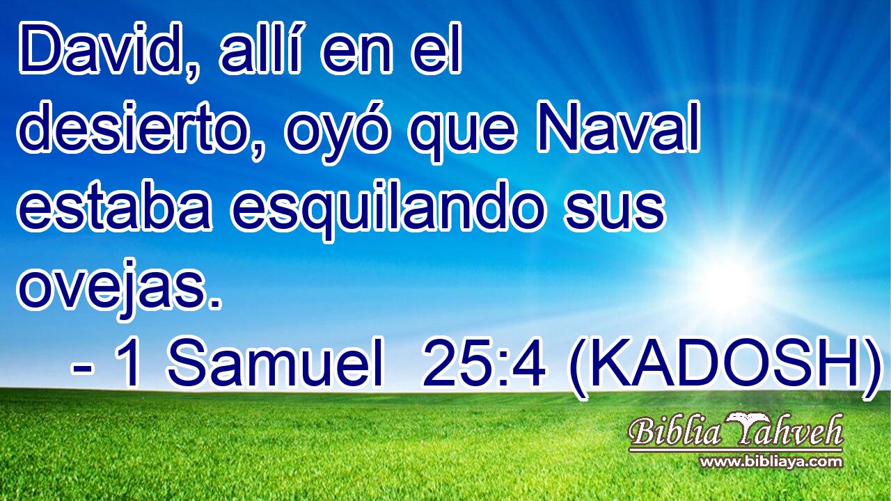  David, allí en el desierto, oyó que Naval estaba esquilando sus ovejas. 