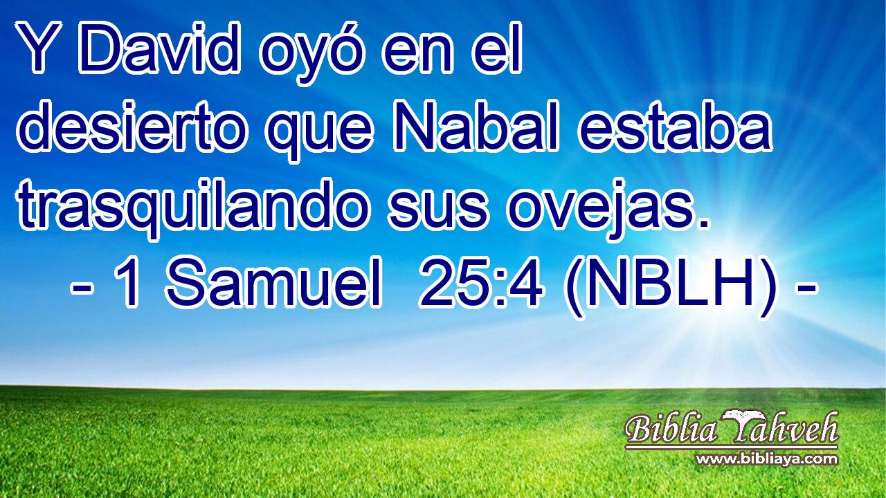  Y David oyó en el desierto que Nabal estaba trasquilando sus ovejas. 