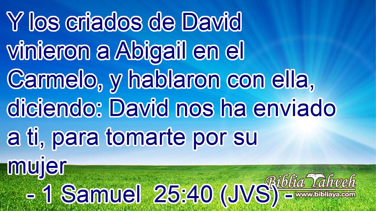 Y los criados de David vinieron a Abigail en el Carmelo, y hablaron con ella, diciendo: David nos ha enviado a ti, para tomarte por su mujer