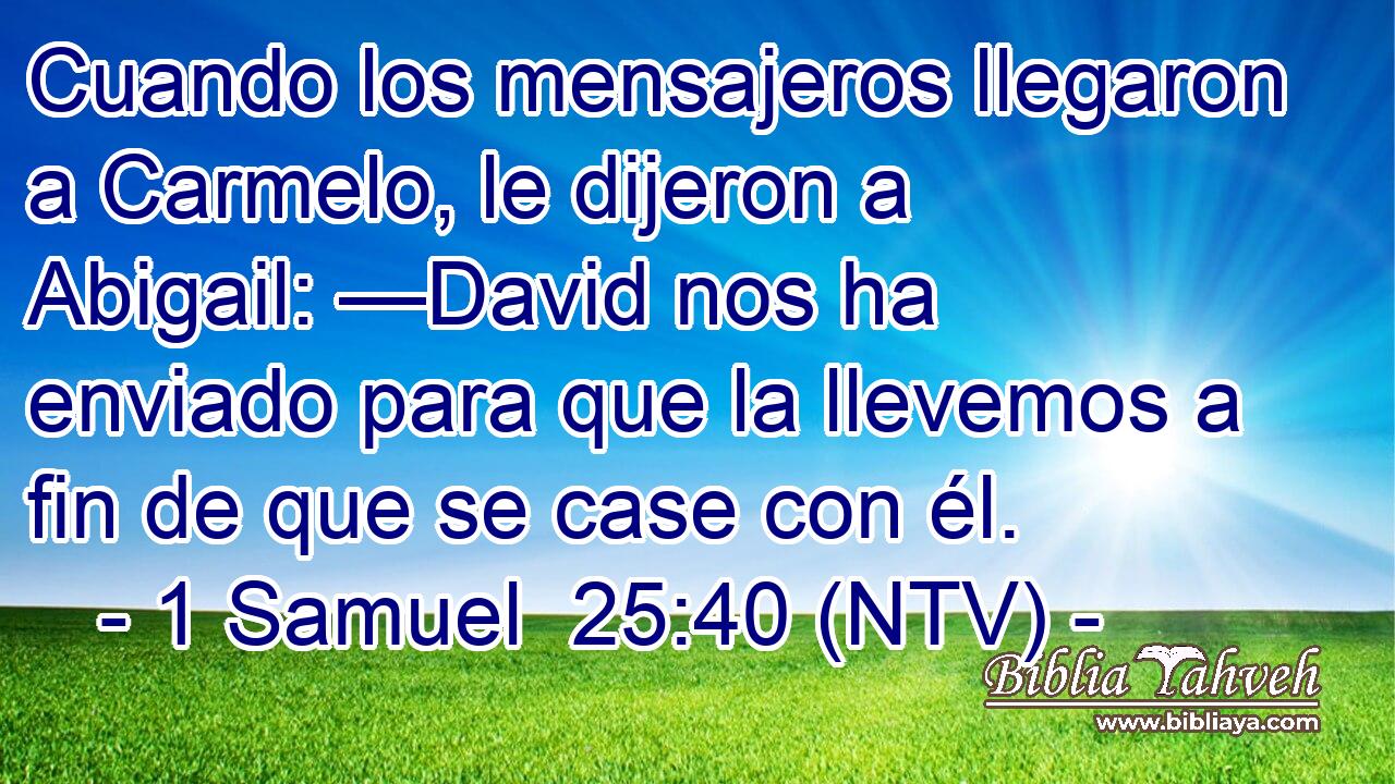 Cuando los mensajeros llegaron a Carmelo, le dijeron a Abigail: —David nos ha enviado para que la llevemos a fin de que se case con él.