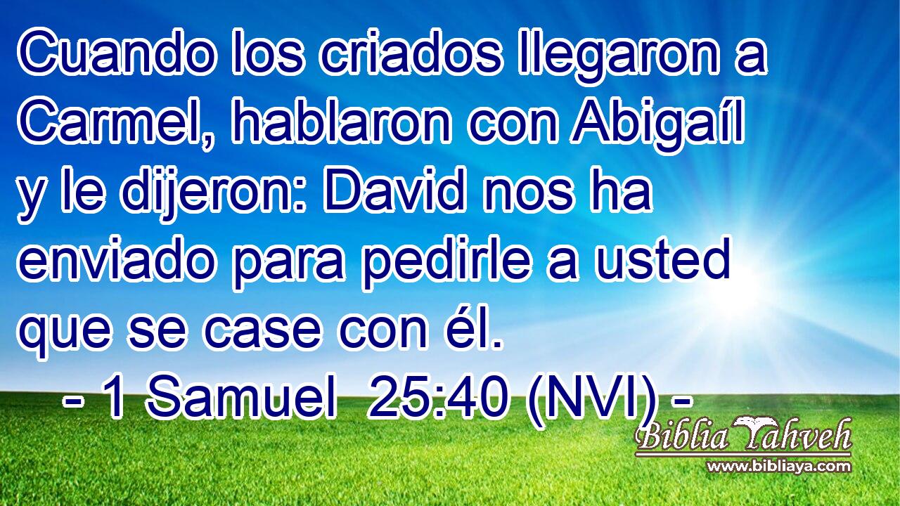  Cuando los criados llegaron a Carmel, hablaron con Abigaíl y le dijeron: David nos ha enviado para pedirle a usted que se case con él. 