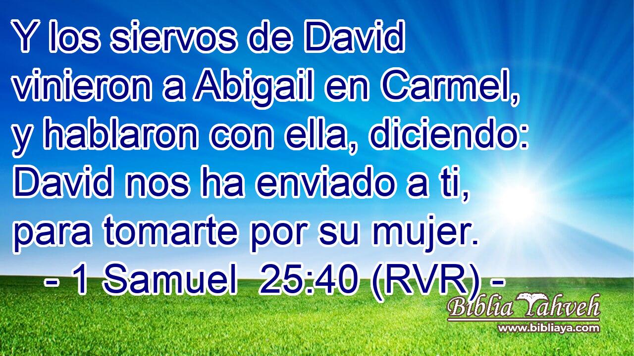 Y los siervos de David vinieron a Abigail en Carmel, y hablaron con ella, diciendo: David nos ha enviado a ti, para tomarte por su mujer.
