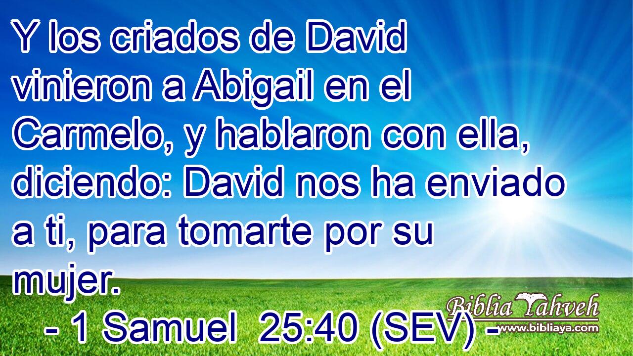 Y los criados de David vinieron a Abigail en el Carmelo, y hablaron con ella, diciendo: David nos ha enviado a ti, para tomarte por su mujer.