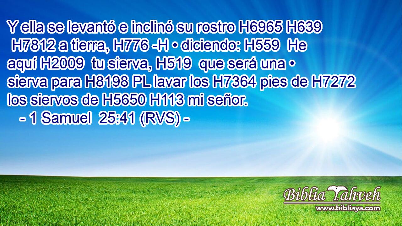 Y ella se levantó e inclinó su rostro H6965 H639  H7812 a tierra, H776 -H • diciendo: H559  He aquí H2009  tu sierva, H519  que será una • sierva para H8198 PL lavar los H7364 pies de H7272 los siervos de H5650 H113 mi señor. 