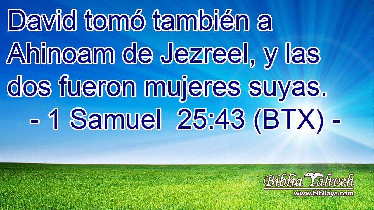 David tomó también a Ahinoam de Jezreel, y las dos fueron mujeres suyas.