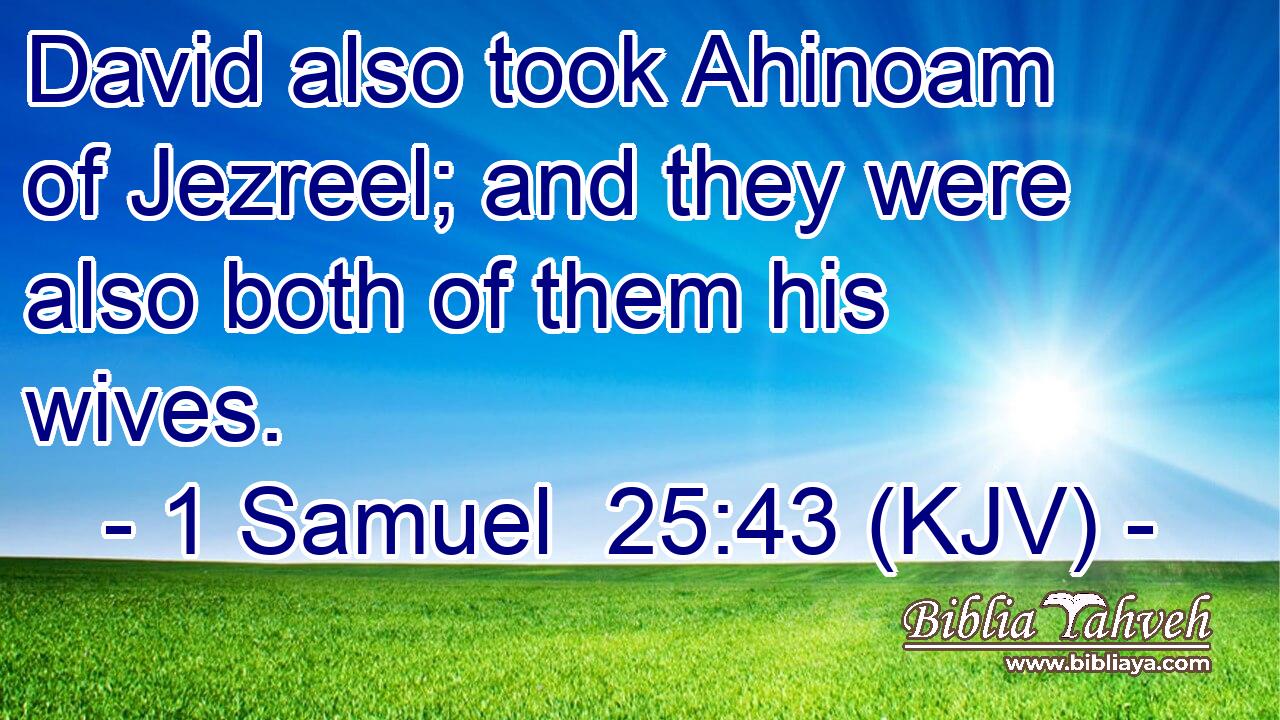 David also took Ahinoam of Jezreel; and they were also both of them his wives.