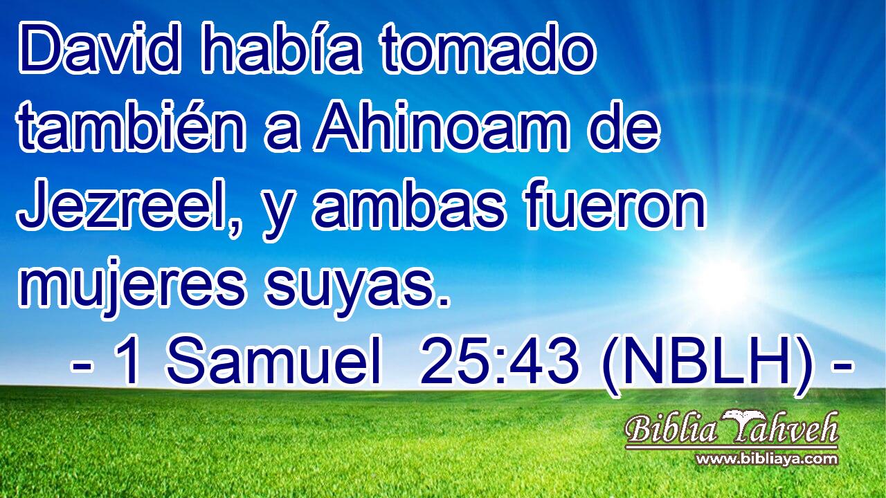  David había tomado también a Ahinoam de Jezreel, y ambas fueron mujeres suyas. 