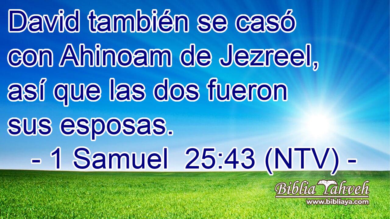 David también se casó con Ahinoam de Jezreel, así que las dos fueron sus esposas.