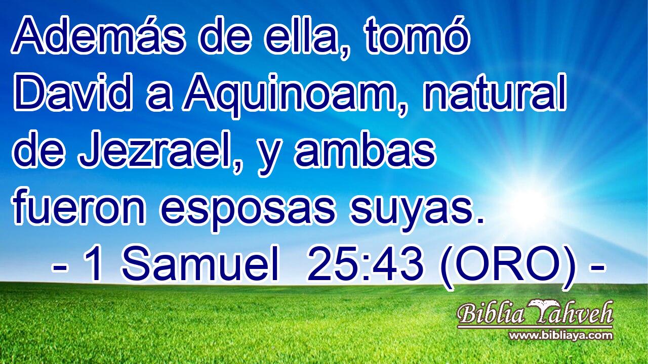  Además de ella, tomó David a Aquinoam, natural de Jezrael, y ambas fueron esposas suyas. 