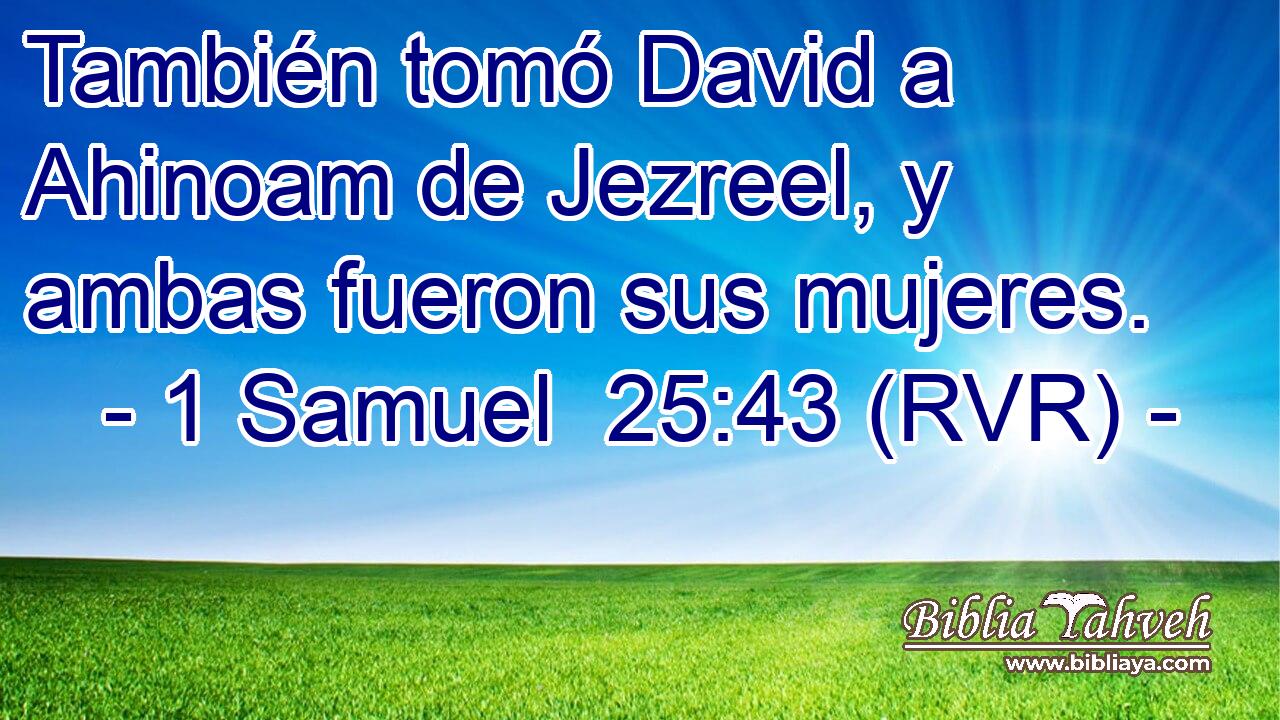 También tomó David a Ahinoam de Jezreel, y ambas fueron sus mujeres.