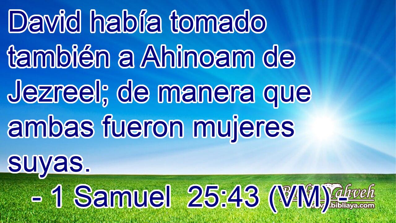  David había tomado también a Ahinoam de Jezreel; de manera que ambas fueron mujeres suyas. 