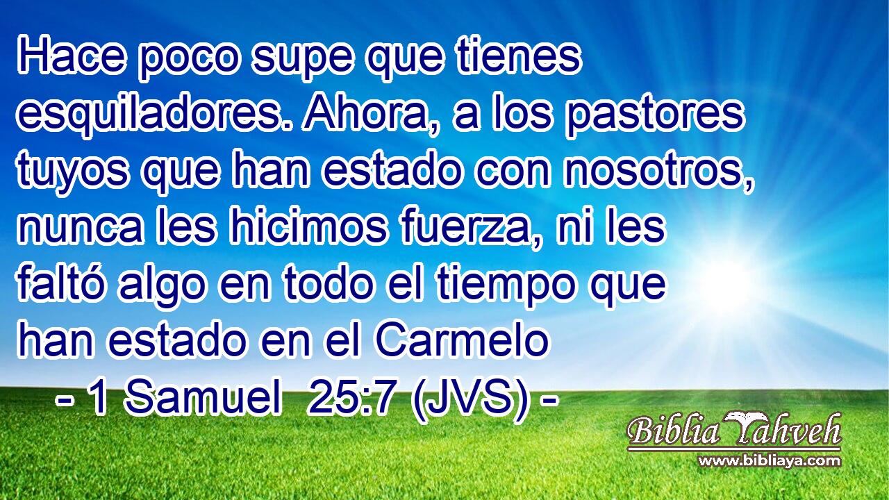 Hace poco supe que tienes esquiladores. Ahora, a los pastores tuyos que han estado con nosotros, nunca les hicimos fuerza, ni les faltó algo en todo el tiempo que han estado en el Carmelo