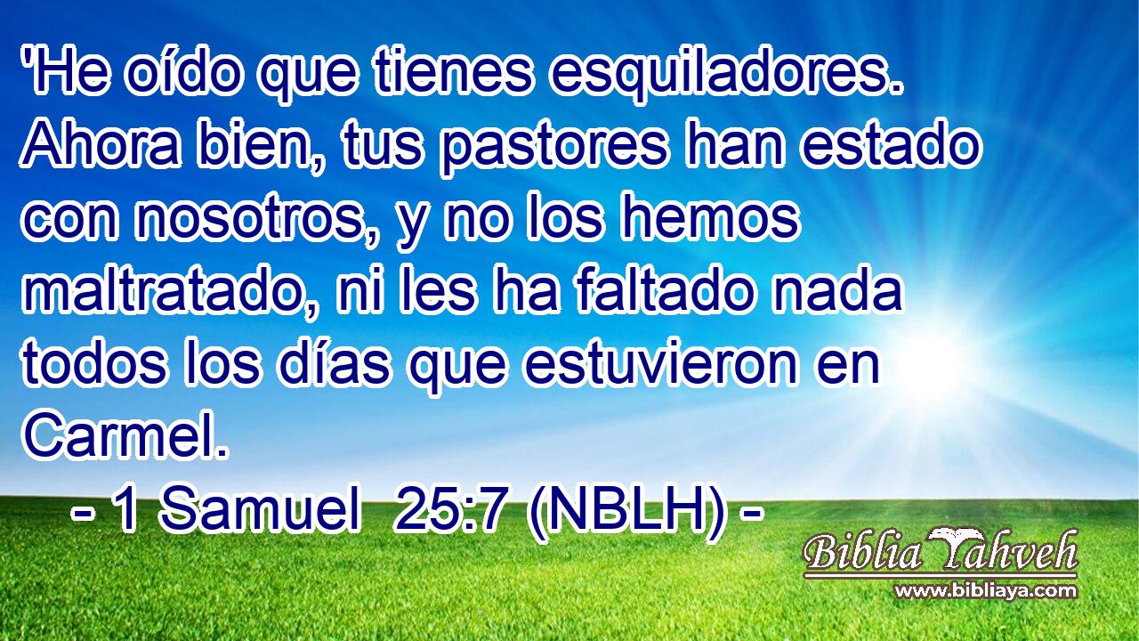  'He oído que tienes esquiladores. Ahora bien, tus pastores han estado con nosotros, y no los hemos maltratado, ni les ha faltado nada todos los días que estuvieron en Carmel. 