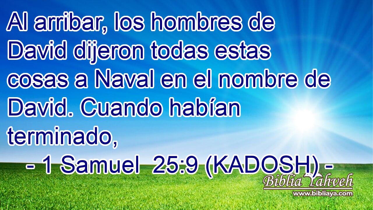  Al arribar, los hombres de David dijeron todas estas cosas a Naval en el nombre de David. Cuando habían terminado, 
