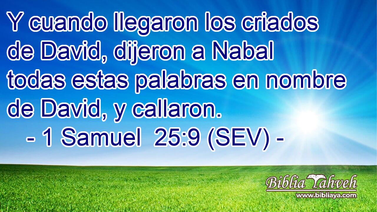 Y cuando llegaron los criados de David, dijeron a Nabal todas estas palabras en nombre de David, y callaron.