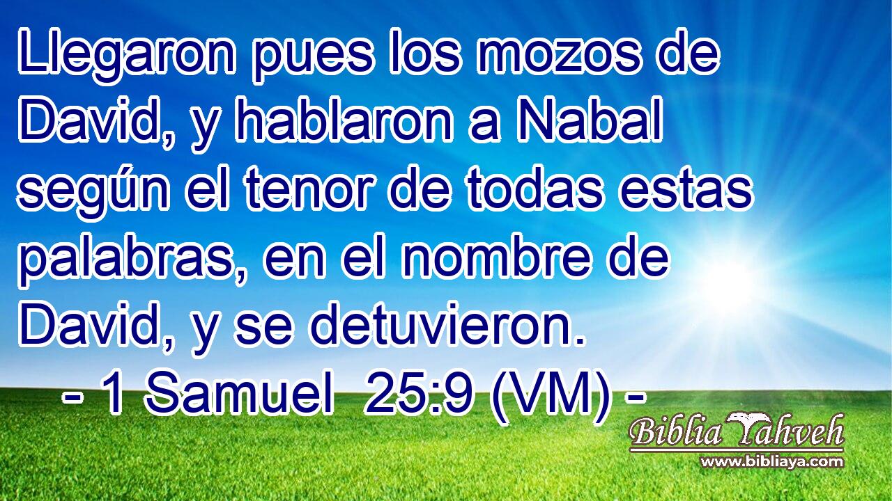  Llegaron pues los mozos de David, y hablaron a Nabal según el tenor de todas estas palabras, en el nombre de David, y se detuvieron. 