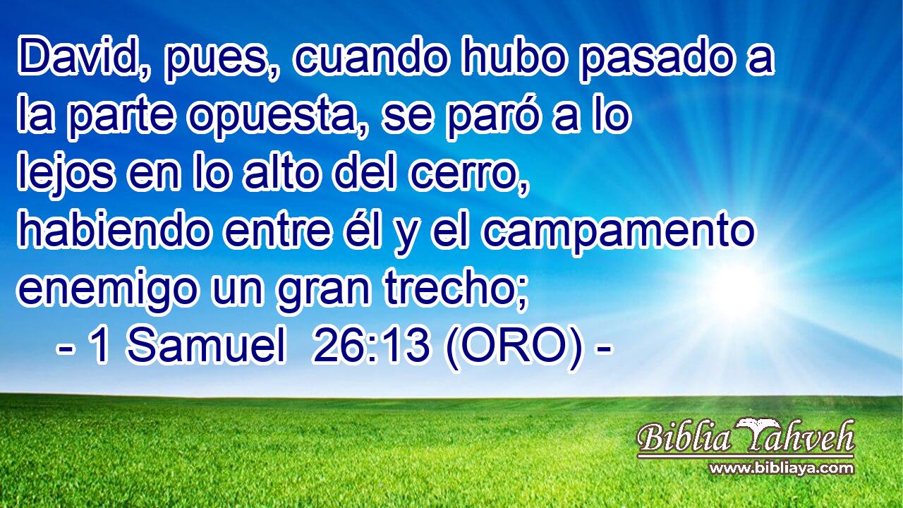  David, pues, cuando hubo pasado a la parte opuesta, se paró a lo lejos en lo alto del cerro, habiendo entre él y el campamento enemigo un gran trecho; 