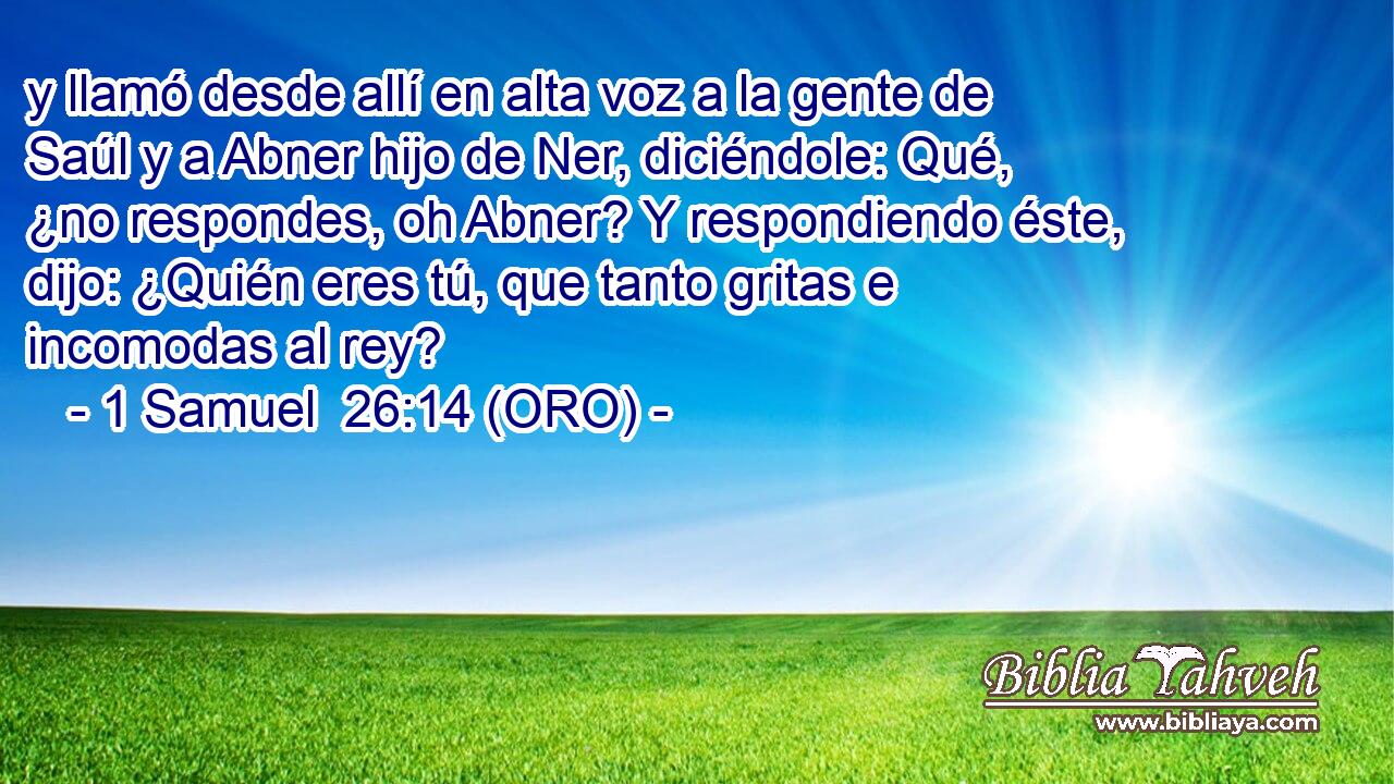  y llamó desde allí en alta voz a la gente de Saúl y a Abner hijo de Ner, diciéndole: Qué, ¿no respondes, oh Abner? Y respondiendo éste, dijo: ¿Quién eres tú, que tanto gritas e incomodas al rey? 