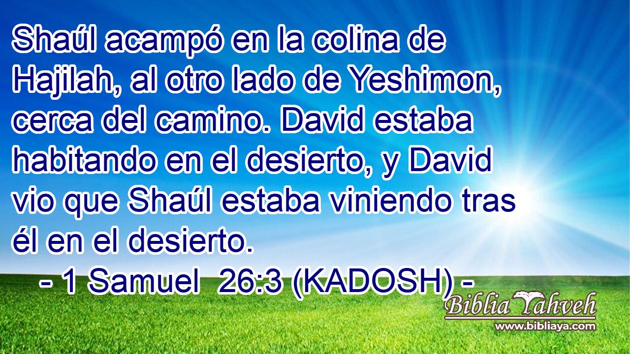  Shaúl acampó en la colina de Hajilah, al otro lado de Yeshimon, cerca del camino. David estaba habitando en el desierto, y David vio que Shaúl estaba viniendo tras él en el desierto. 