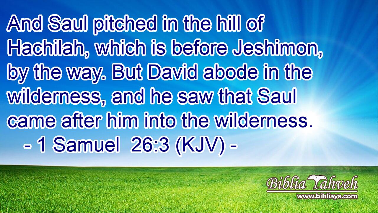 And Saul pitched in the hill of Hachilah, which is before Jeshimon, by the way. But David abode in the wilderness, and he saw that Saul came after him into the wilderness.